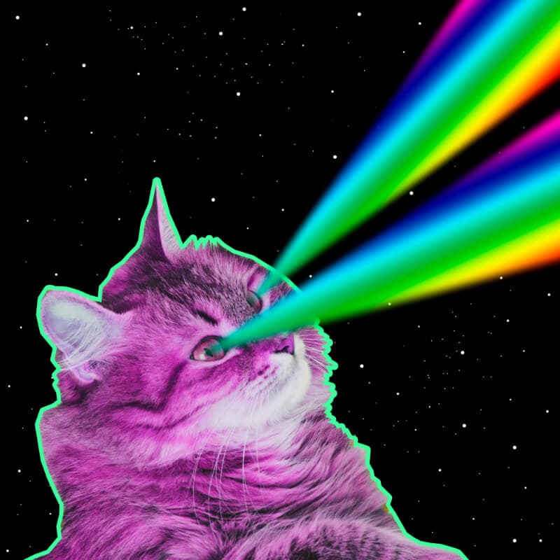 Laser Cat