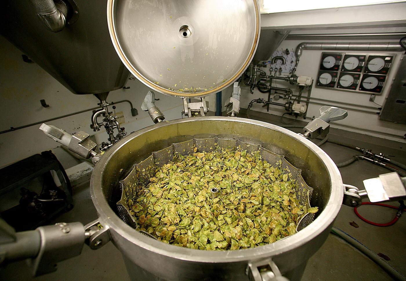 A can and glass of Dankful IPA surrounded by hops