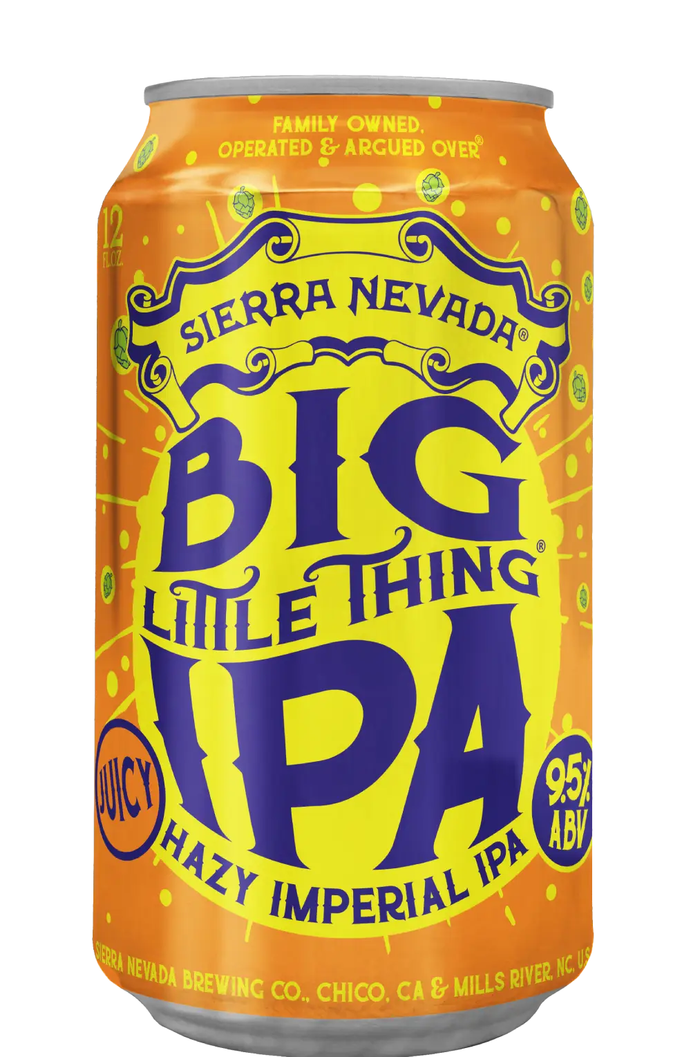 Big Little Thing IPA beer can